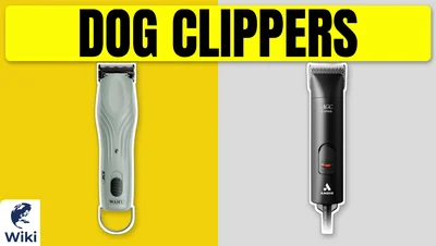 Best Dog Clippers