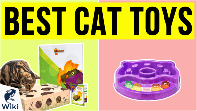 Best Cat Toys