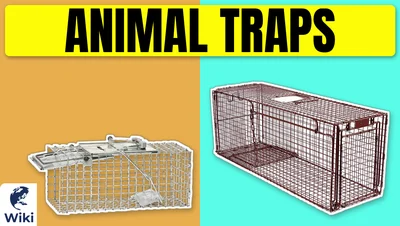 Best Animal Traps