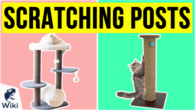 Best Scratching Posts