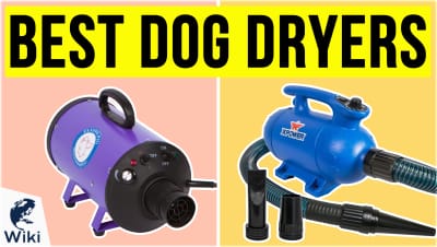 Best Dog Dryers