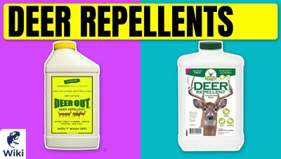 Best Deer Repellents