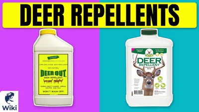Best Deer Repellents