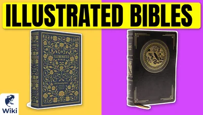 The 10 Best Illustrated Bibles of 2026