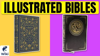 Best Illustrated Bibles