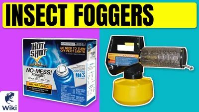 Best Insect Foggers