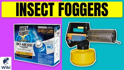 Best Insect Foggers