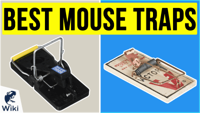 Best Mouse Traps