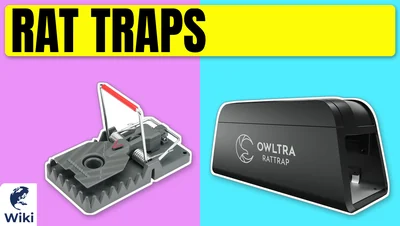 Best Rat Traps