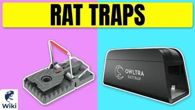 Best Rat Traps