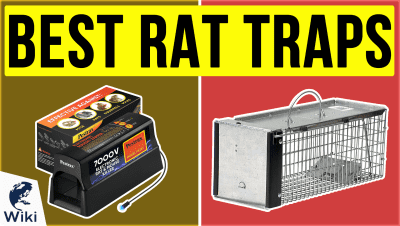 Best Rat Traps