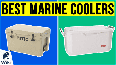 Top 10 Marine Coolers | Video Review