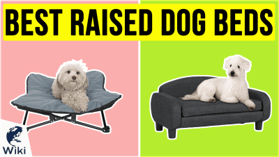 Best Raised Dog Beds