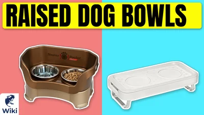 Best Raised Dog Bowls