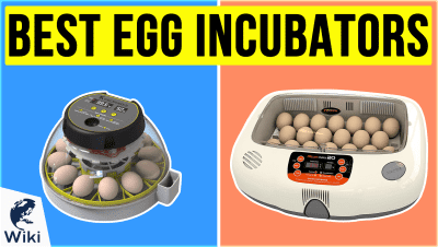 best Best Egg Incubators