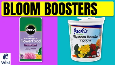 The 10 Best Bloom Boosters of 2026