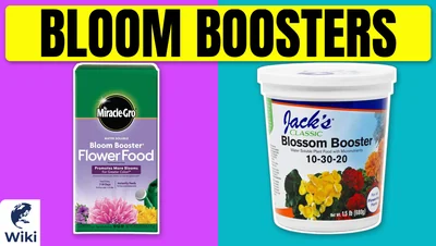Best Bloom Boosters