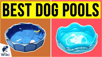 best Best Dog Pools