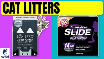 Best Cat Litters