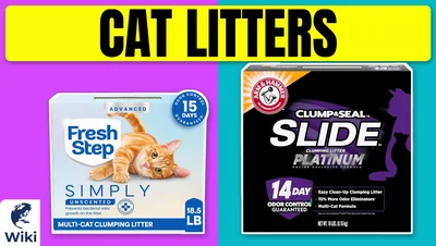 Best Cat Litters