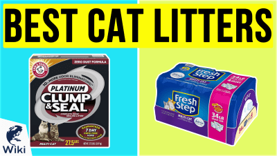 best Best Cat Litters
