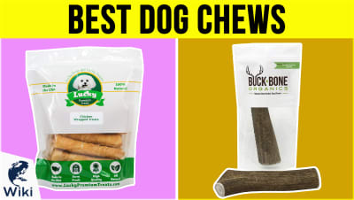 Top 10 Dog Chews | Video Review