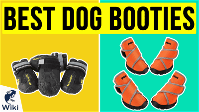 Best Dog Booties