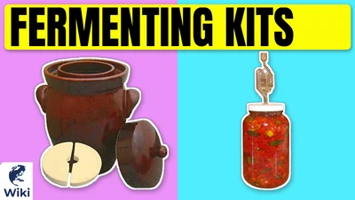 The 10 Best Fermenting Kits of 2026