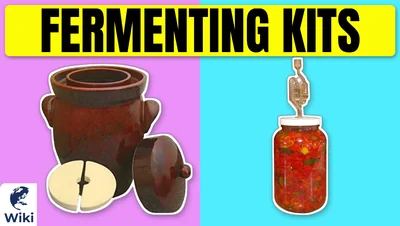 Best Fermenting Kits