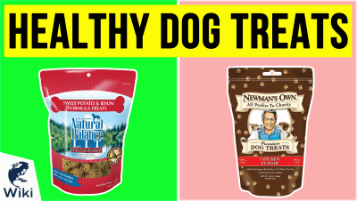 Top 10 Healthy Dog Treats | Video Review