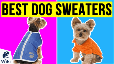 Best Dog Sweaters