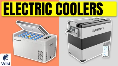 Best Electric Coolers