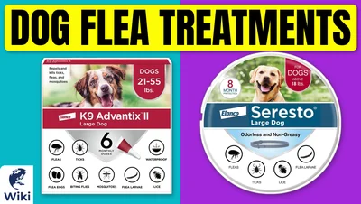 Best Dog Flea Treatments