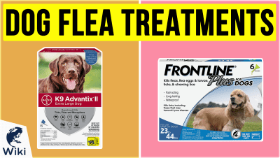Best Dog Flea Treatments