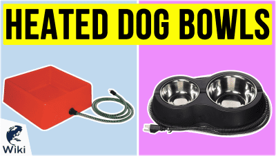 best Best Heated Dog Bowls