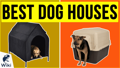 best Best Dog Houses