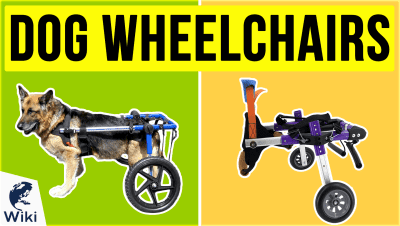 best Best Dog Wheelchairs