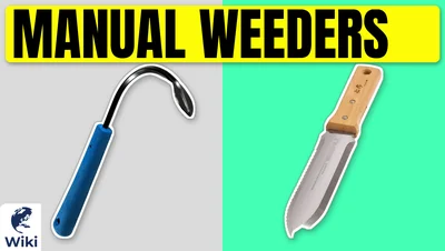 Best Manual Weeders