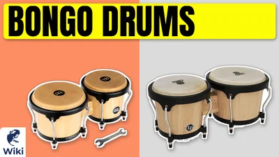 Best Bongo Drums
