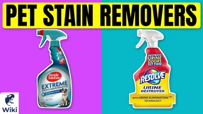 Best Pet Stain Removers