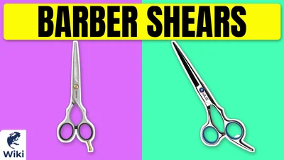 Best Barber Shears