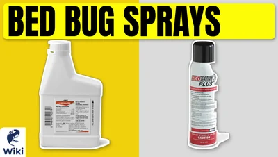 Best Bed Bug Sprays