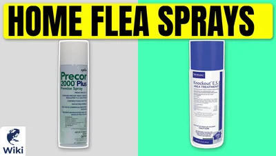 Best Home Flea Sprays
