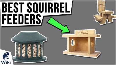 best Best Squirrel Feeders