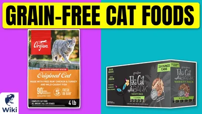 The 10 Best Grain-Free Cat Foods of 2026