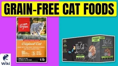 Best Grain-Free Cat Foods