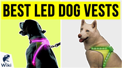 Top 8 LED Dog Vests | Video Review