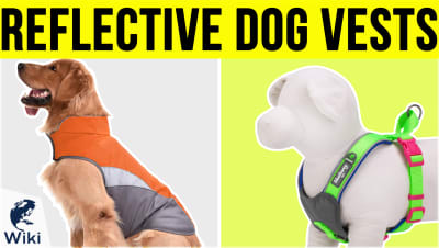 Top 10 Reflective Dog Vests | Video Review