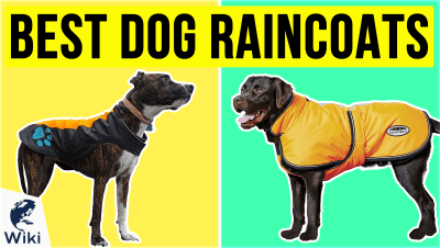 Best Dog Raincoats