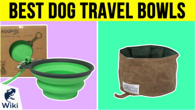 Top 10 Dog Travel Bowls | Video Review